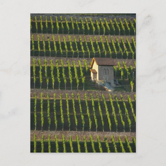 Duitsland, Frankrijk, Wertheim. Speciale heuvel 2 Briefkaart (Voorkant)