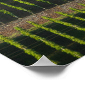 Duitsland, Frankrijk, Wertheim. Speciale heuvel 2 Poster (Hoek)