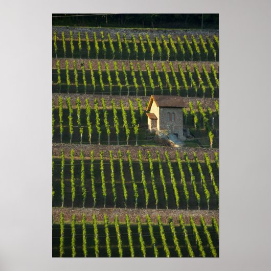 Duitsland, Frankrijk, Wertheim. Speciale heuvel 2 Poster (Voorkant)