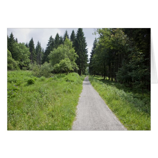 Duitsland, Thüringen, weg in bos (Voorkant Horizontaal)