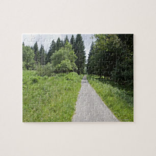 Duitsland, Thüringen, weg in bos Legpuzzel