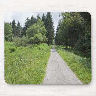 Duitsland, Thüringen, weg in bos Muismat
