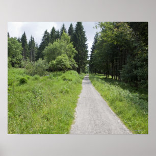 Duitsland, Thüringen, weg in bos Poster