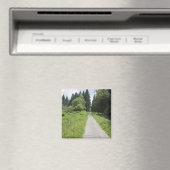 Duitsland, Thüringen, weg in het bos Magneet (Insitu (Vaatwasser))