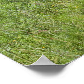 Duitsland, Thüringen, weg in het bos Poster (Hoek)