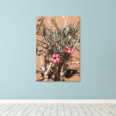 Duivel klauw na regen in een woestijn canvas afdruk (Insitu (Houten vloer))