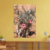 Duivel klauw na regen in een woestijn canvas afdruk (Insitu (Woonkamer))