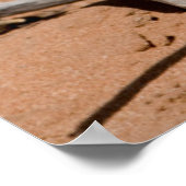 Duivel klauw na regen in een woestijn poster (Hoek)