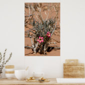 Duivel klauw na regen in een woestijn poster (Keuken)