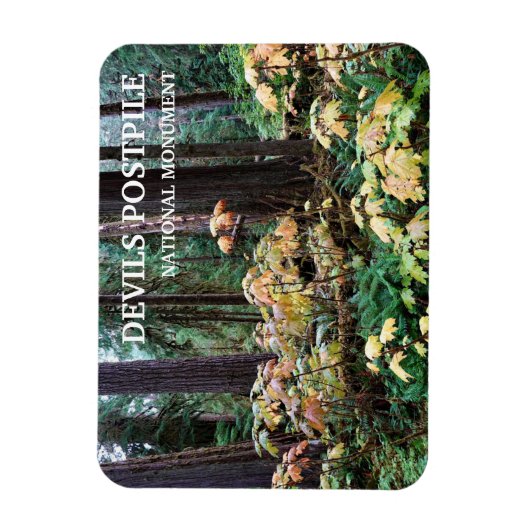 Duivelsclub, Devils Postpile National Monument Magneet (Verticaal)