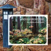 Duivelsclub, Devils Postpile National Monument Magneet