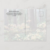 Duivelsclub, Duivels Postpile National Monument Briefkaart (Achterkant)