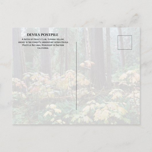Duivelsclub, Duivels Postpile National Monument Briefkaart (Achterkant)
