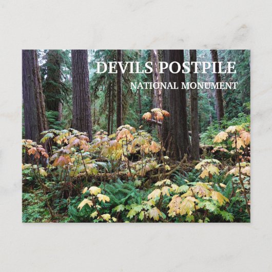 Duivelsclub, Duivels Postpile National Monument Briefkaart (Voorkant)