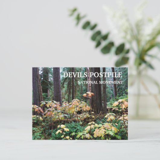 Duivelsclub, Duivels Postpile National Monument Briefkaart (Staand voorkant)