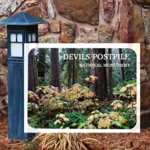 Duivelsclub, Duivels Postpile National Monument Magneet