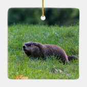 Duivelsgat-graver Keramisch Ornament (Achterkant)
