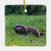 Duivelsgat-graver Keramisch Ornament (Voorkant)