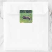 Duivelsgat-graver Vierkante Sticker (Tas)