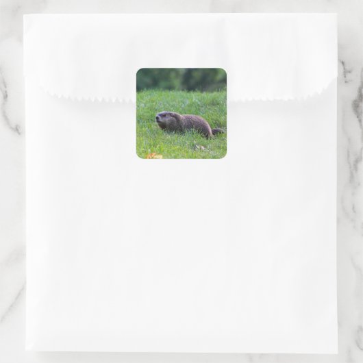 Duivelsgat-graver Vierkante Sticker (Tas)