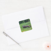 Duivelsgat-graver Vierkante Sticker (Envelop)