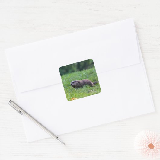 Duivelsgat-graver Vierkante Sticker (Envelop)