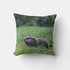 Duivelsgatgraver Kussen