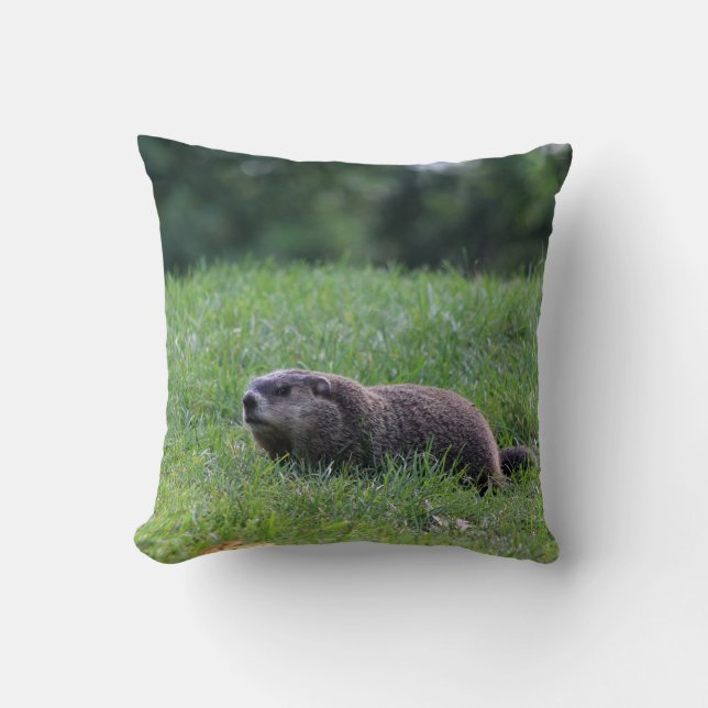 Duivelsgatgraver Kussen (Voorkant)