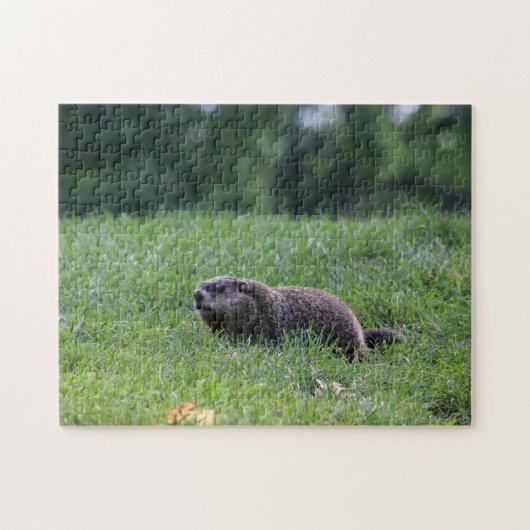 Duivelsgatgraver Legpuzzel (Horizontaal)