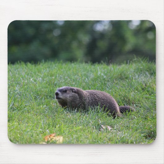 Duivelsgatgraver Muismat (Voorkant)