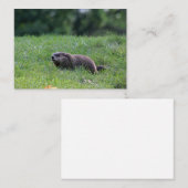 Duivelsgatgraver Notitiekaartje (Voorkant / Achterkant)