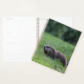 Duivelsgatgraver Planner (Display)