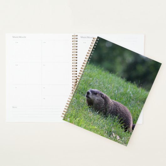 Duivelsgatgraver Planner (Display)