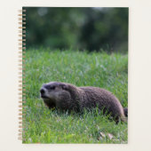 Duivelsgatgraver Planner (Voorkant)