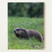 Duivelsgatgraver Planner (Achterkant)