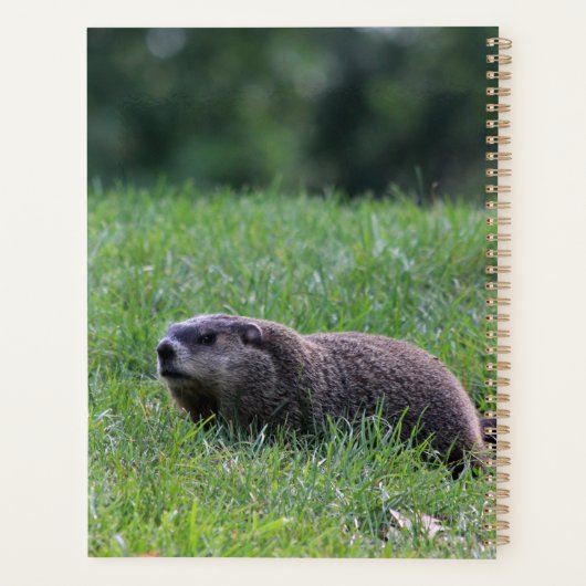 Duivelsgatgraver Planner (Achterkant)