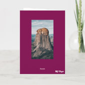 Duivelstoren Tabby Kaart (Achterkant)