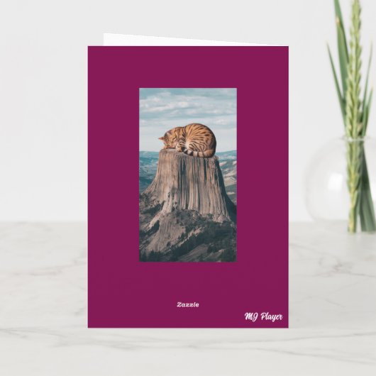 Duivelstoren Tabby Kaart (Achterkant)