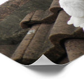 Duiven 36 poster (Hoek)