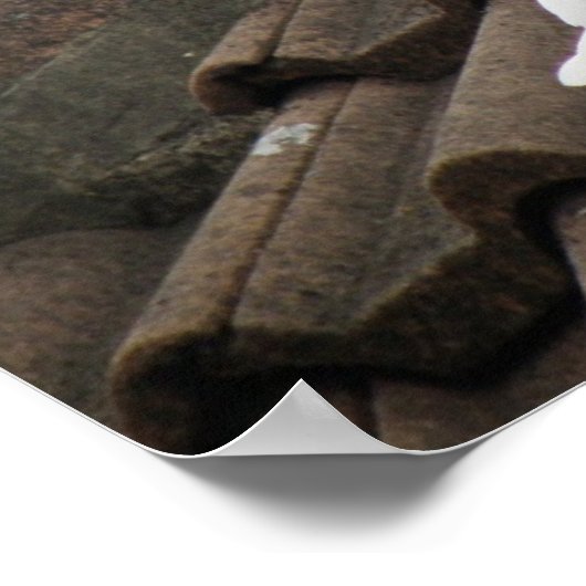 Duiven 36 poster (Hoek)