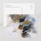 duiven briefkaart (Voorkant / Achterkant)