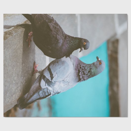 duiven cadeaupapier (Vlak)