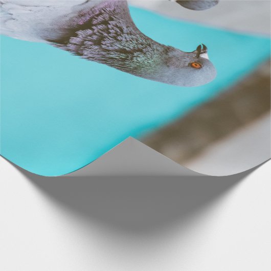 duiven cadeaupapier (Hoek)