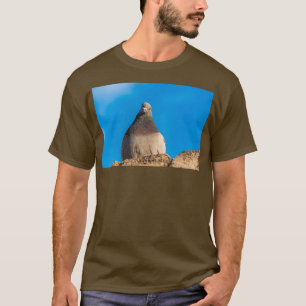 Duiven die op een steenwand zitten t-shirt