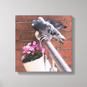 Duiven en bloemen canvas afdruk (Voorkant)
