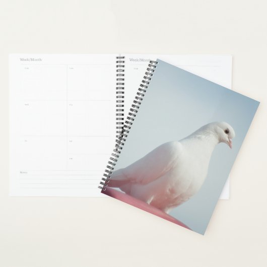 Duiven en Duiven Vogels Fotografie Planner (Display)