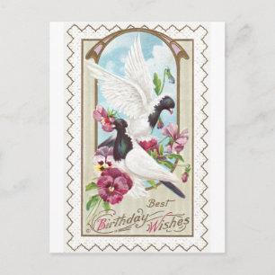 Duiven en Pansies Verjaardag Briefkaart