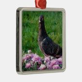 duiven en tandvlees metalen ornament (Rechts)