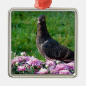 duiven en tandvlees metalen ornament (Voorkant)