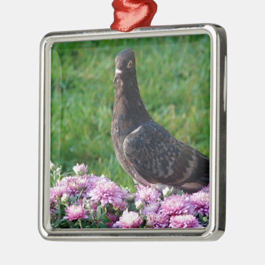 duiven en tandvlees metalen ornament (Links)